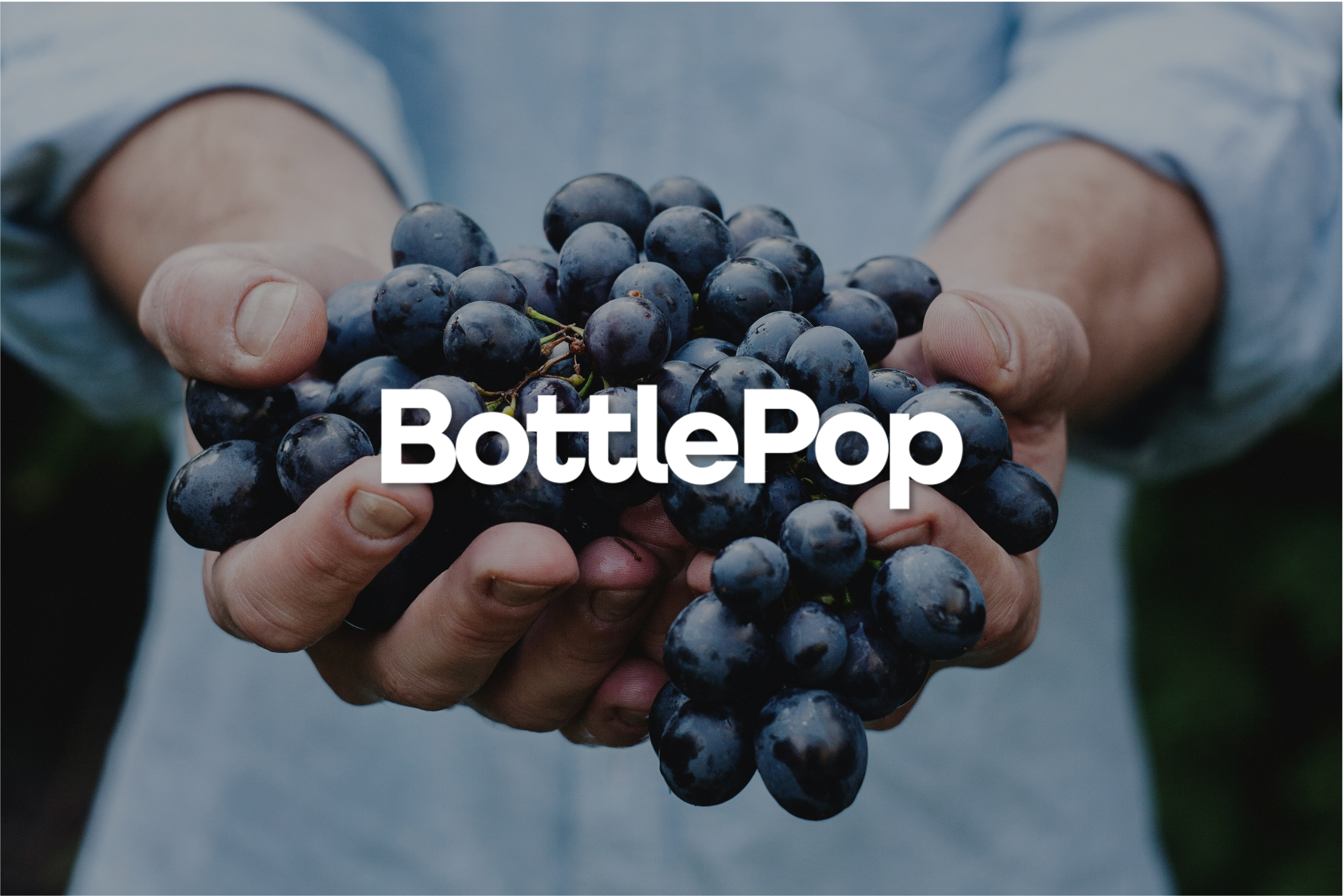 The modern way to buy great wine. – BottlePop